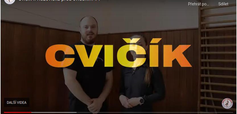 cvicik